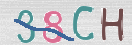 CAPTCHA vaizdas