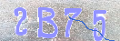 CAPTCHA vaizdas