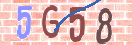 CAPTCHA vaizdas
