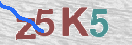 CAPTCHA vaizdas