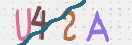 CAPTCHA vaizdas