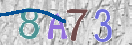 CAPTCHA vaizdas
