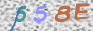 CAPTCHA vaizdas