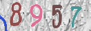 CAPTCHA vaizdas
