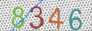 CAPTCHA vaizdas