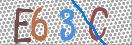 CAPTCHA vaizdas