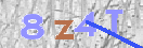 CAPTCHA vaizdas