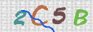 CAPTCHA vaizdas