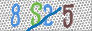 CAPTCHA vaizdas