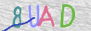 CAPTCHA vaizdas