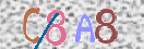 CAPTCHA vaizdas