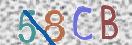 CAPTCHA vaizdas