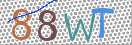 CAPTCHA vaizdas