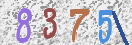 CAPTCHA vaizdas