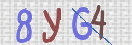 CAPTCHA vaizdas