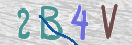 CAPTCHA vaizdas