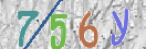 CAPTCHA vaizdas