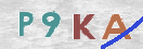 CAPTCHA vaizdas