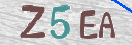 CAPTCHA vaizdas