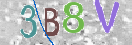 CAPTCHA vaizdas