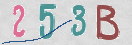 CAPTCHA vaizdas