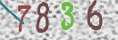 CAPTCHA vaizdas