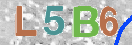 CAPTCHA vaizdas