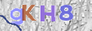 CAPTCHA vaizdas