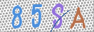 CAPTCHA vaizdas