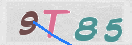 CAPTCHA vaizdas