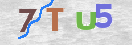 CAPTCHA vaizdas