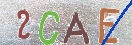 CAPTCHA vaizdas