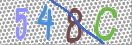 CAPTCHA vaizdas