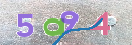 CAPTCHA vaizdas