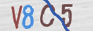 CAPTCHA vaizdas