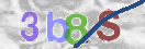 CAPTCHA vaizdas