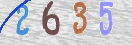 CAPTCHA vaizdas
