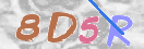 CAPTCHA vaizdas