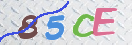 CAPTCHA vaizdas