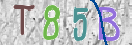 CAPTCHA vaizdas