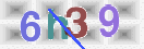 CAPTCHA vaizdas