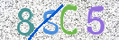 CAPTCHA vaizdas