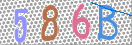 CAPTCHA vaizdas