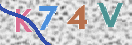 CAPTCHA vaizdas